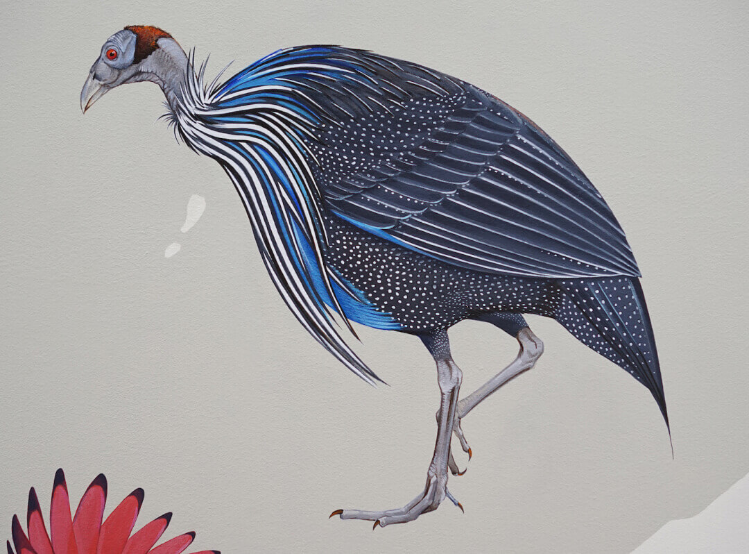 Jane Kim elaboró el mural más grande de aves