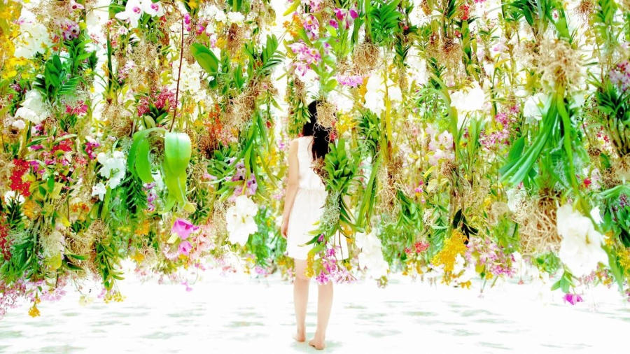 Instalación "Flowers and I are of the Same Root, the Garden and I are One"