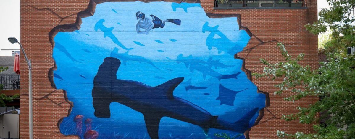 ARTivismo y océanos en Sea Walls 2018