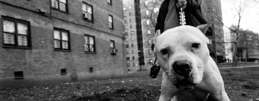 Everybody Street un documental de la fotografía urbana