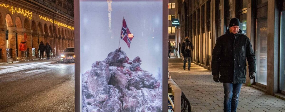 Activistas vs la matanza de renos en Noruega