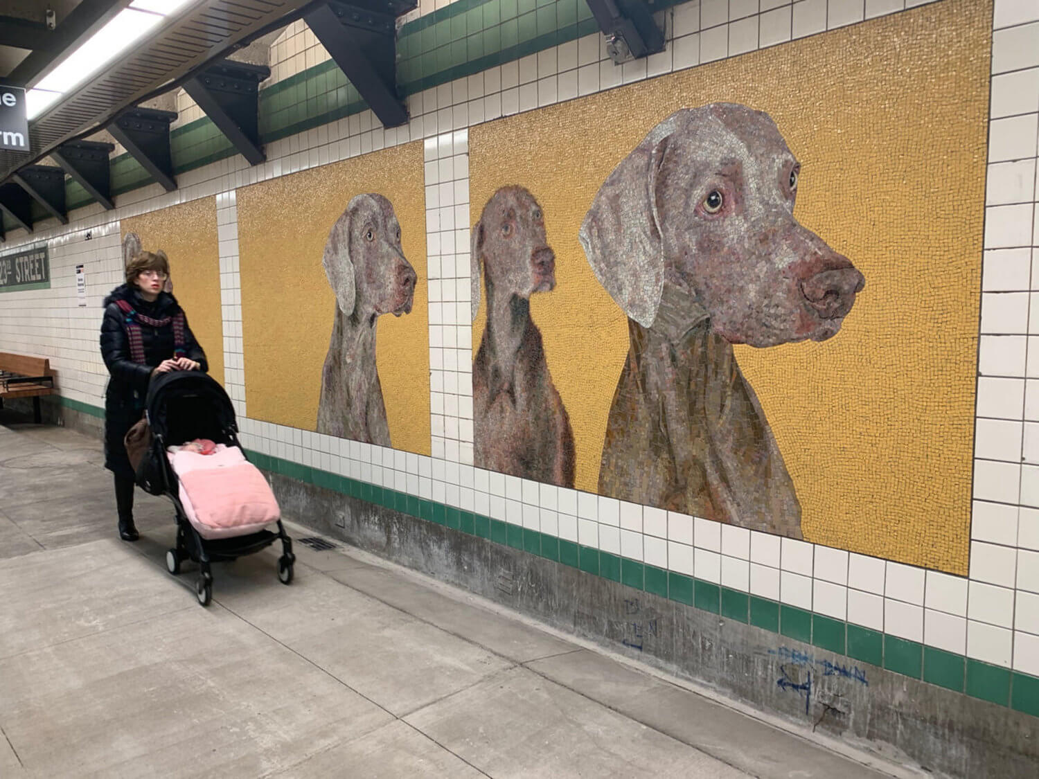 William Wegman estrena mosaicos en metro de Nueva York