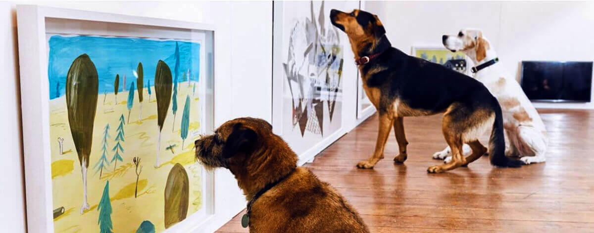 The Museum of the Dog opens in New York City