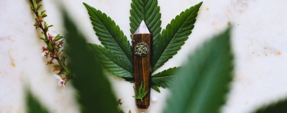 THC vs CBD: diferencias entre los componentes del cannabis