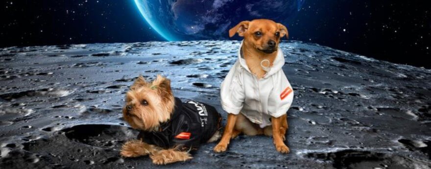 Heron Preston y NASA lanzan colección para mascotas
