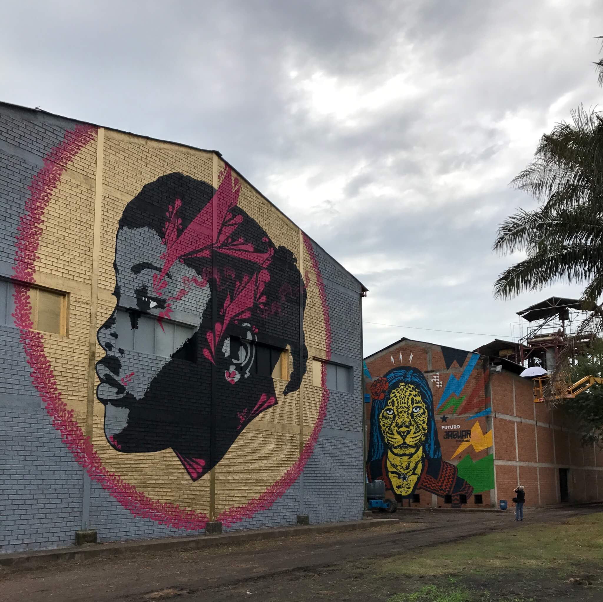 arte urbano en colombia