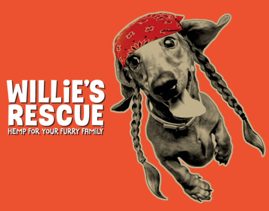 Willies Rescue dog