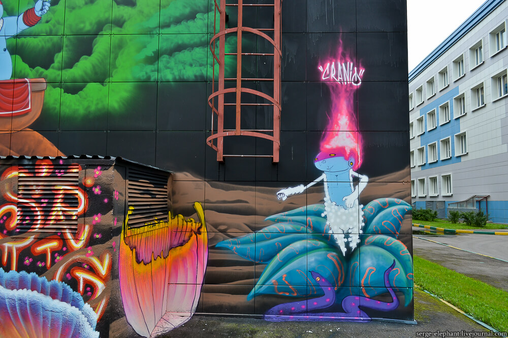 Cranio street art en Urban Morphogenesis