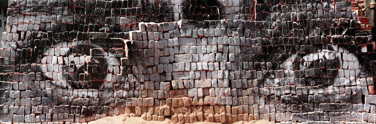 Eyes on
 Bricks, New Delhi, India