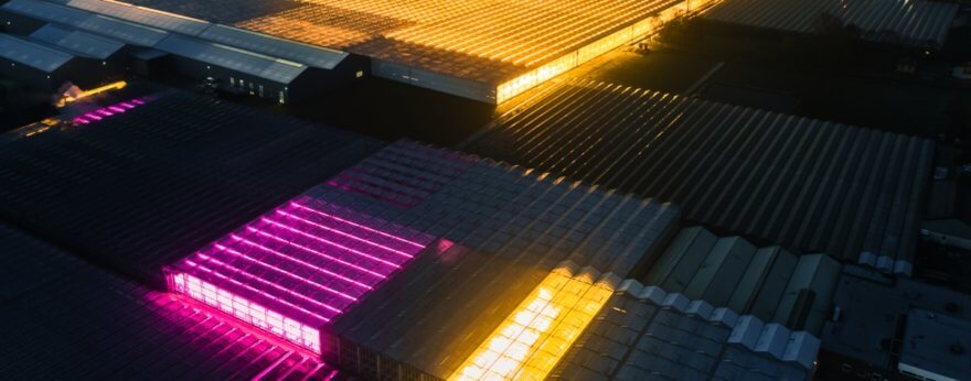 Tom Hegen fotografía invernaderos de LED en los Países Bajos