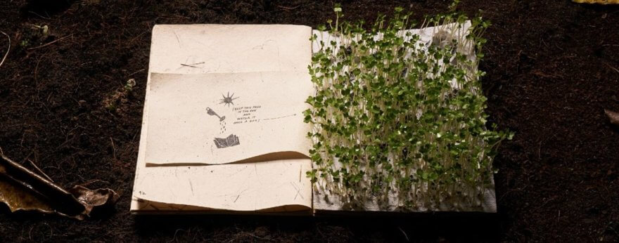 Libro ilustrado de papel reciclado se convierte en un jardín miniatura