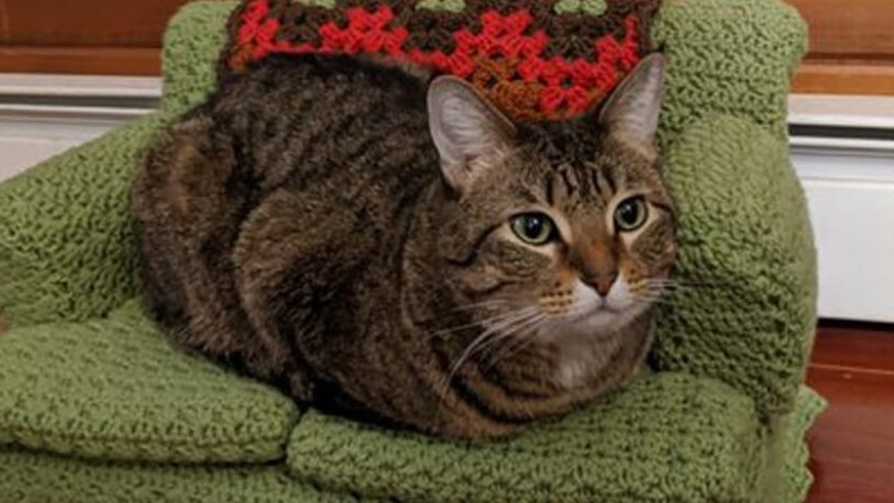 Sofás para gato hechos con tejido crochet