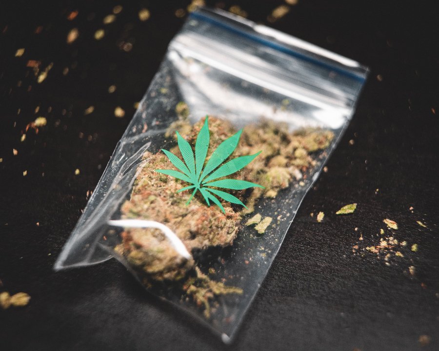 Bolsa con marihuana con uno de los tipos de cannabis: indica, sativa o ruderalis