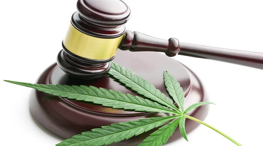 OMS quitará el cannabis dentro de la clasificación de drogas