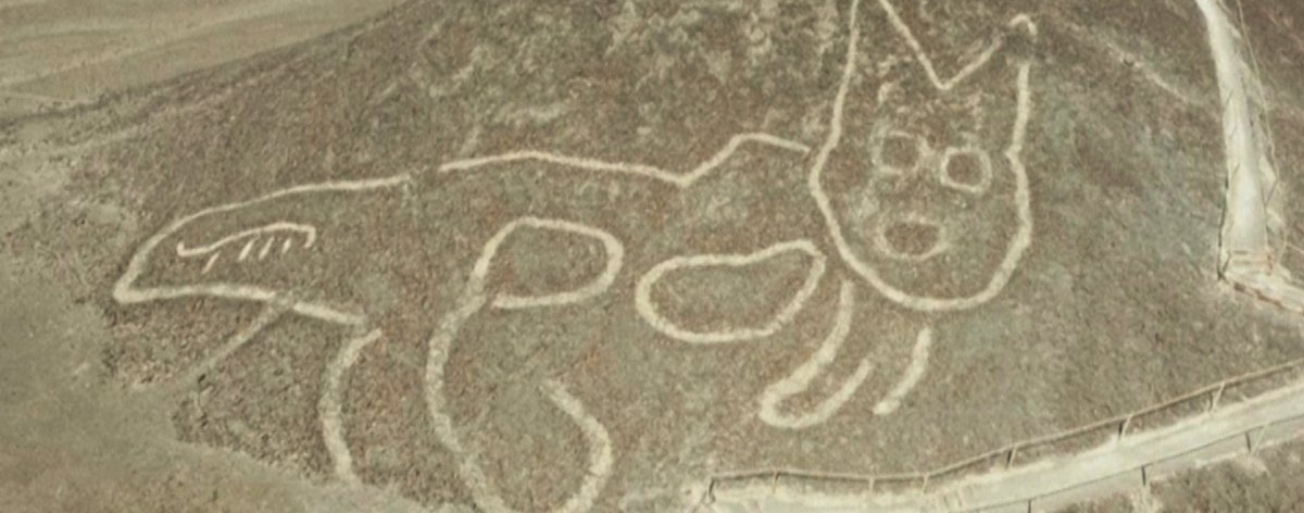 Figura de gato en la Pampa de Nazca