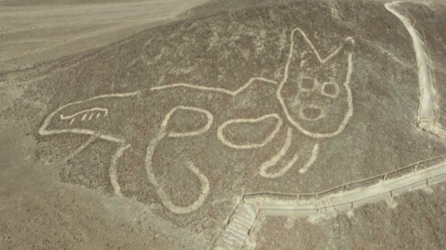 Descubrieron geoglifo de gato en Perú