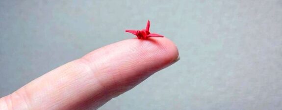 Naoki Onogawa: el artista del origami en miniatura