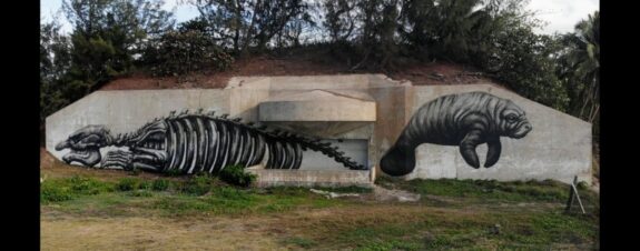 ROA en Puerto Rico: piezas de street art acerca de especies en peligro de extinción