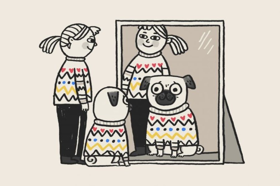 Ilustración de pugs