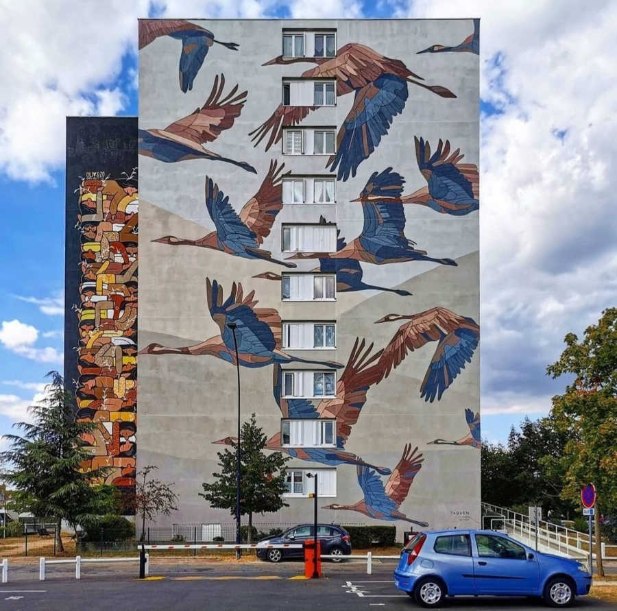 Murales sobre aves, naturaleza y movimiento