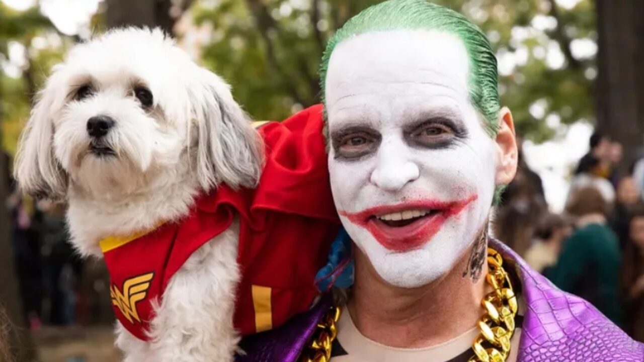 Estar satisfecho Quemar Marinero Halloween Dog Parade 2022: la fiesta de disfraces más perrona