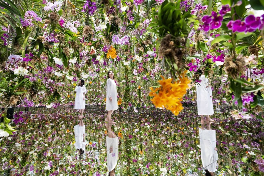 Instalación de orquídeas "Flowers and I are of the Same Root, the Garden and I are One"