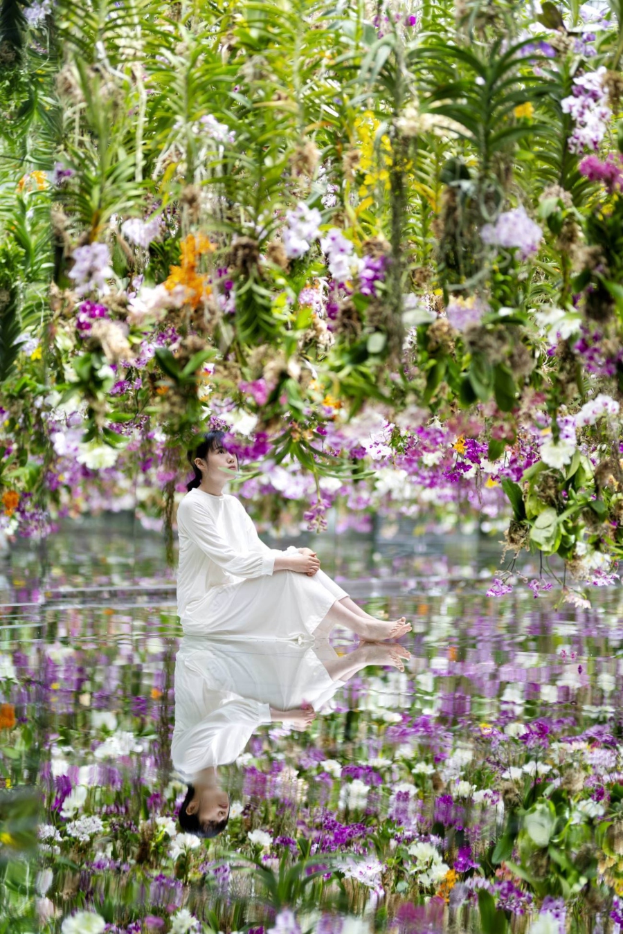 Instalación de orquídeas "Flowers and I are of the Same Root, the Garden and I are One" 