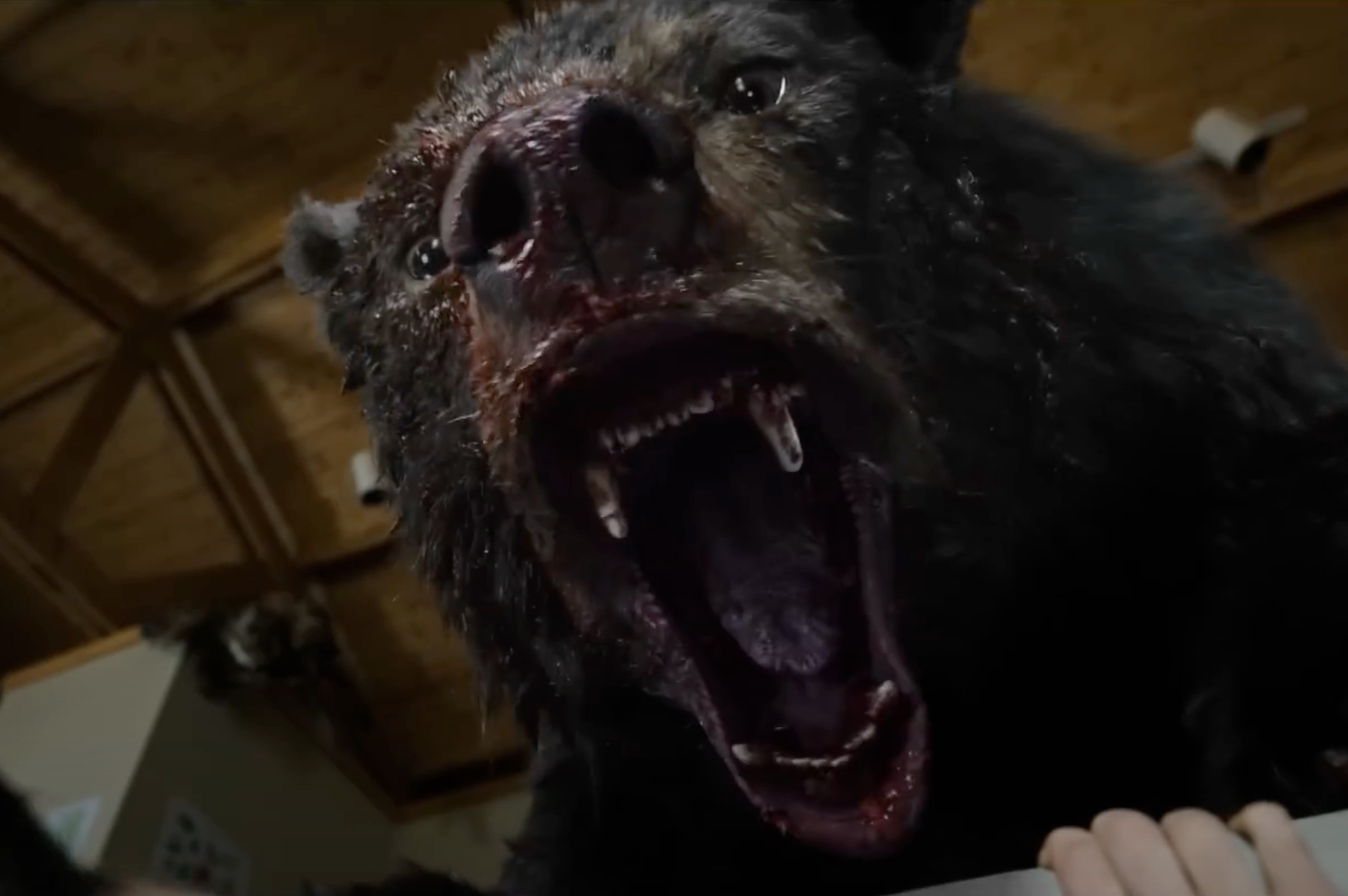 Cocaine Bear sorprende en Rotten Tomatoes tras su estreno