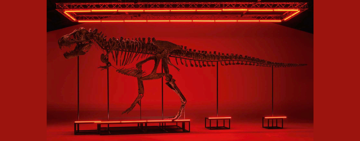 Subasta de maravillas prehistóricas y cósmicas: El Tiranosaurio Rex Trinity y el meteorito marciano Red Colossus