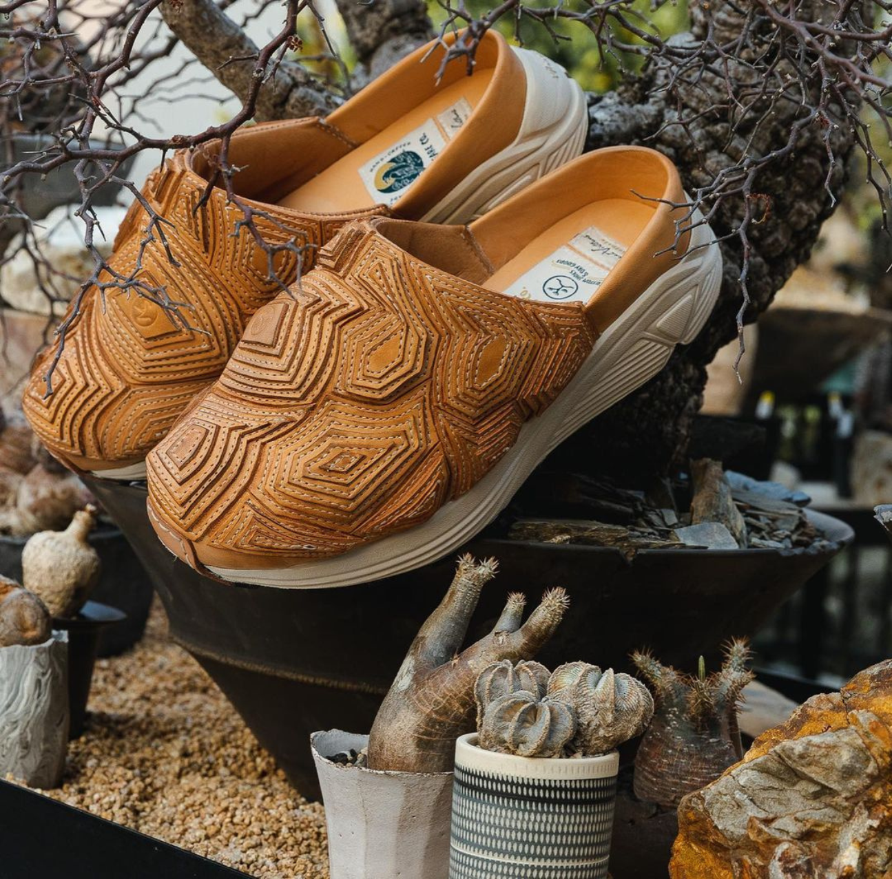 RIFARE y Sweet Villians Succulent Footwear