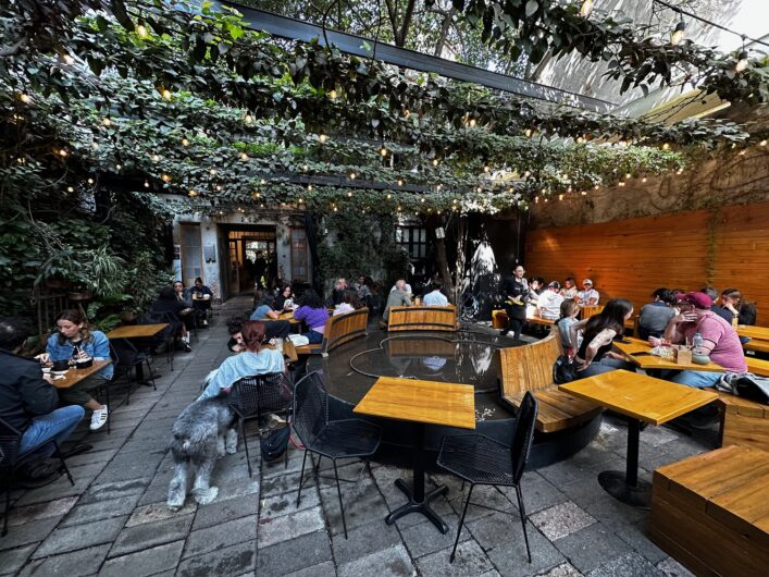 restaurante pet friendly con personas en una terraza. Freims en Hipodromo CDMX